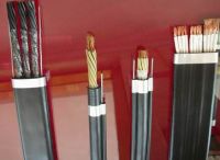 Sell Elevator & Crane cables