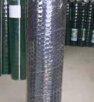 Sell hexagonal wire net