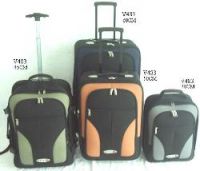 NO.V483 EVA Trolley Case