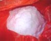 Sell Oxalic Acid