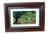 7inch Digital Photo Frame &Display Digital Cameras Photo (NEW)