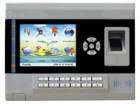 Sell Color Fingerprint Time Attendance & Access Control