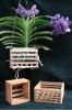 Sell Square Wood Orchid Basket