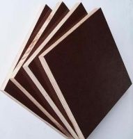 Sell construction plywood