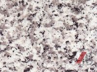Sell Various Chinese Granite Tiles and Slabs