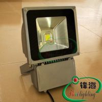 LED floodlight, high power led floodlight , led light(FH-TG285B-80W)