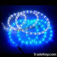 Sell LED rope light