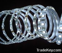 Sell 5050 LED strip lights