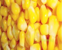 Corn (frozen)