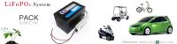 48V 20AH LiFePO4 Battery Pack + BMS + 5A charger
