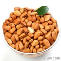 Sell pine nuts