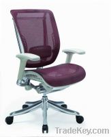 Ergonomics Mesh Chair HOOKAY (STM02 IW-02) 