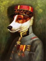 general dog