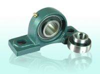 Sell pillow block bearing