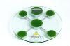 Sell bathroom scales pt-908