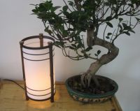 Sell bamboo lamp