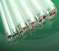 Sell fluorescent tube, daylight, T5, T8 lamp, light bulbs