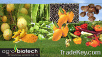 Sell Herbs, Spices, Fruits from INDIAN  Farmers and bio ferilisers