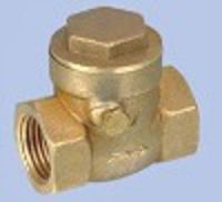 Check Valve