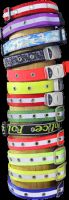 Sell flashing collar,leash,pet product