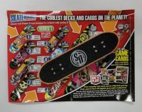 Mini Skateboard Toy