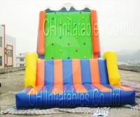 Sell HOT Inflatable Rock Climbing