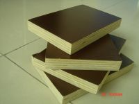 Sell 13 ply construction film faced plywood