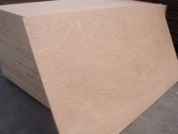 commercial okoume plywood