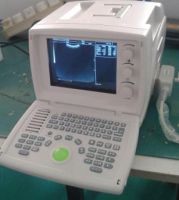 810 Digital Ultrasound Scanner