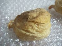 Borneo Cave Processed Golden Silky Bird Nest