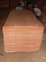 Sell okoume veneer  0.18mm   0.80 mm