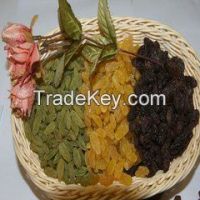 Best quality sweet Green Raisin, Golden Raisin, Black Raisin, Sultana Raisin