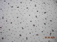 Sell mineral fiber ceiling board