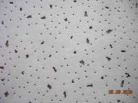 Sell mineral wool ceiling board