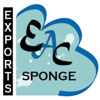 Natural Sea Sponge Exports