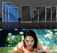 Sell solar module