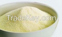 Whey Powder