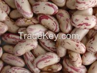 Kidney Beans