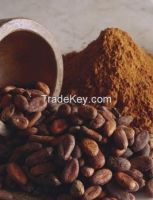Cocoa Bean Powder