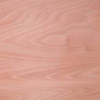 Okume plywood or veneer