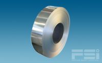 STAINLESS STEEL COIL (FSI-SSC801)