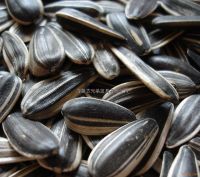 SellBlack Sunflower Seeds