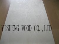 CHINA BRICH PLYWOOD