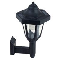 Solar Light(solar lawn lamp) (TTSS07)