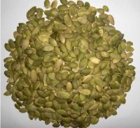 Sell Snow White Pumpkin seed kernel