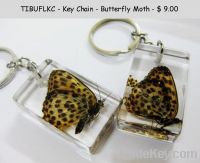 Key Chain Butterfly Moth