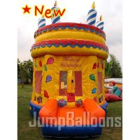 Inflatable Castle, Birthday Castle (J2010)