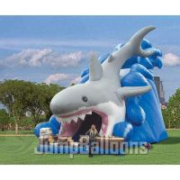 Inflatable Slide, Shark Water Slide, Giant Slide (J4050)