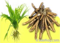Stevia plants & Stevia seeds & then Stevia dry leaves