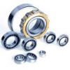 TIMKEN INA  SKF Cylindrical roller bearings